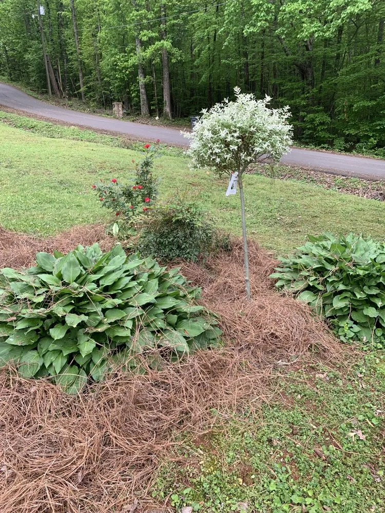 Reliable outdoor landscaping experts serving Trussville, AL - Trent Construction