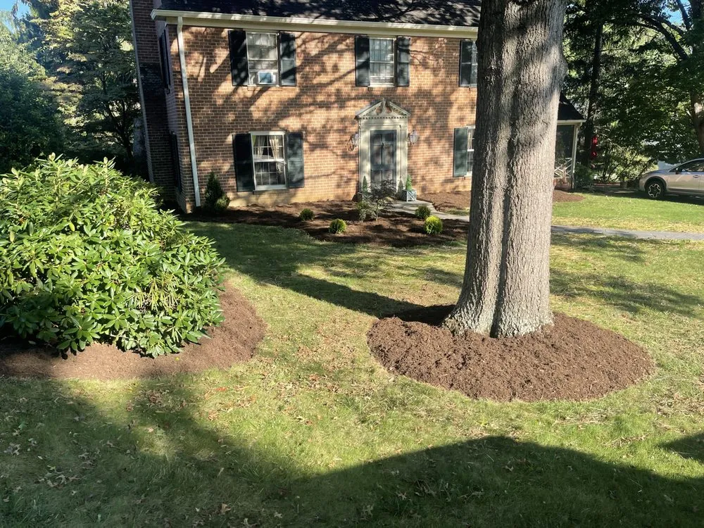 Expert yard maintenance in Roanoke, VA by Trent Services