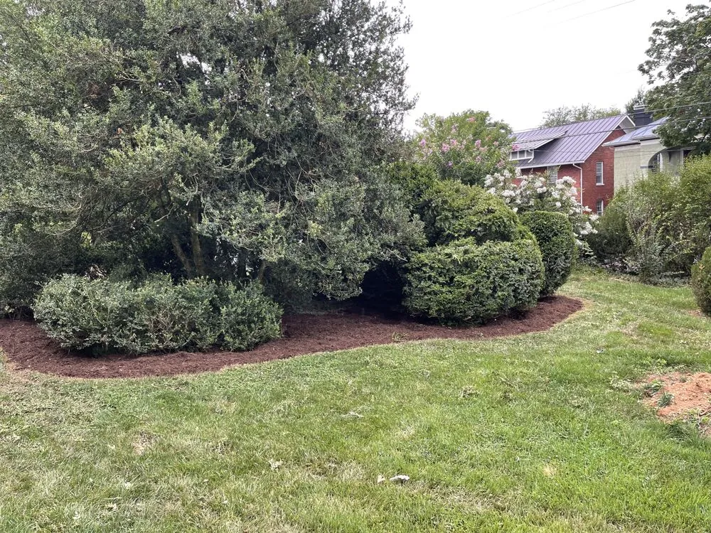 Top-rated lawn mowing service near you in Roanoke, VA by Trent Services