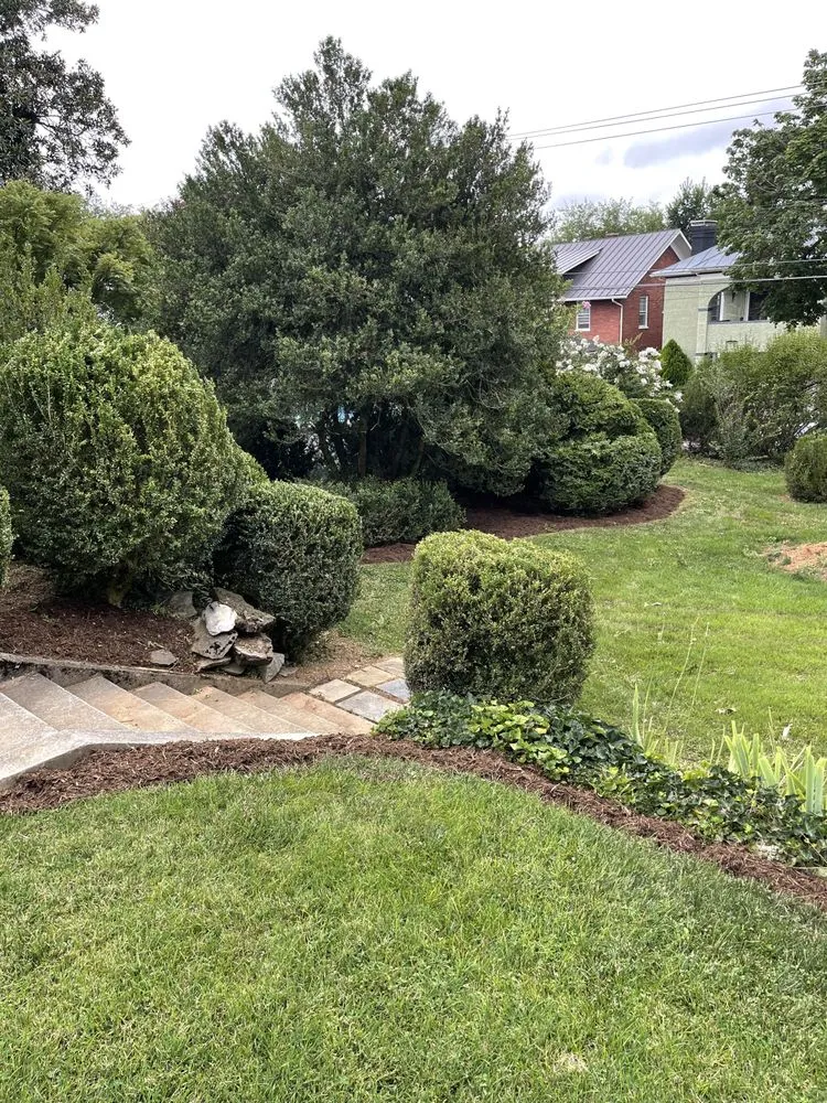 Custom lawn care service in Roanoke, VA - Trent Services