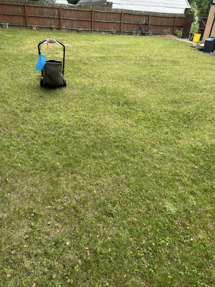 Affordable landscaping services in trenton, NJ by Trenton landscaping