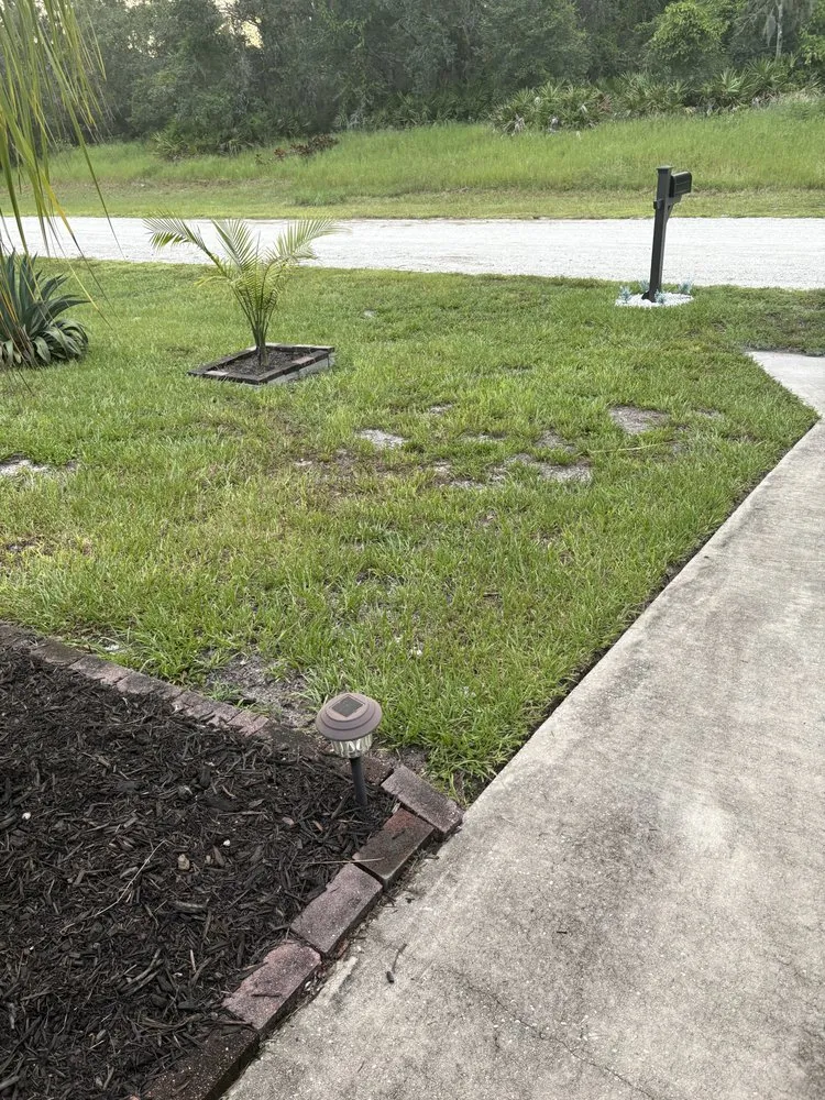 Affordable yard maintenance for homes across Avon Park, FL - Trenton Lawn Care