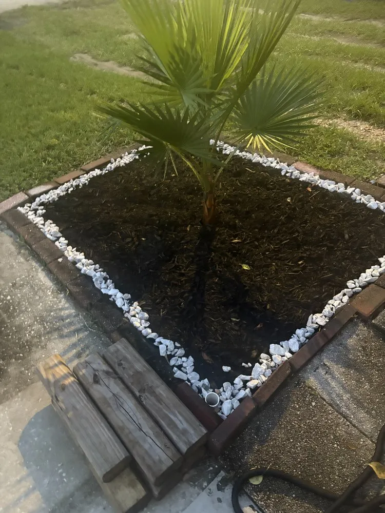 Custom landscape design near you across Avon Park, FL - Trenton Lawn Care