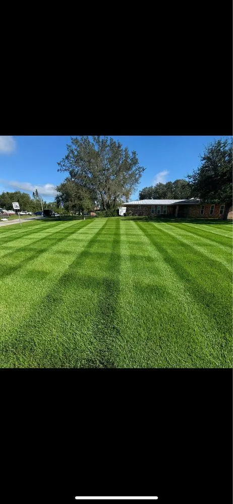 Trusted landscaping services in Avon Park, FL by Trenton Lawn Care