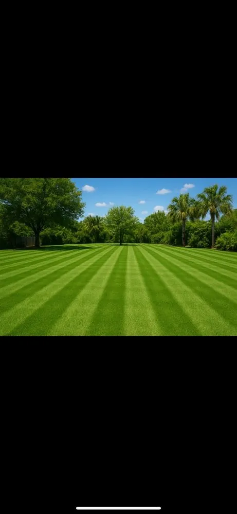 Custom lawn mowing service for beautiful yards in Avon Park, FL by Trenton Lawn Care