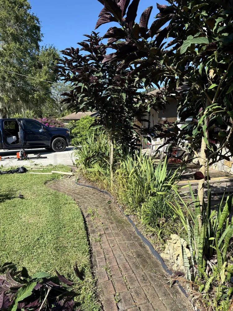 Affordable landscape design for homes across Avon Park, FL - Trenton Lawn Care