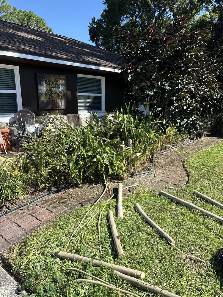 Reliable landscape design experts serving Avon Park, FL - Trenton Lawn Care