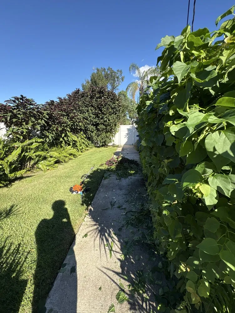 Custom residential landscaping with custom design across Avon Park, FL - Trenton Lawn Care