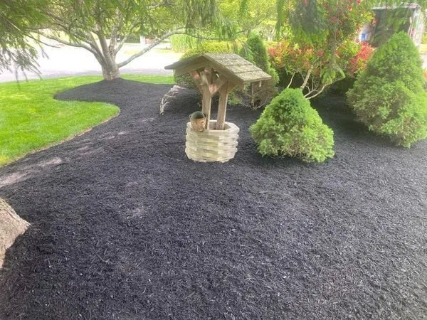 Custom landscaping services in Trenton, NJ by Trenton Lawn Care Services