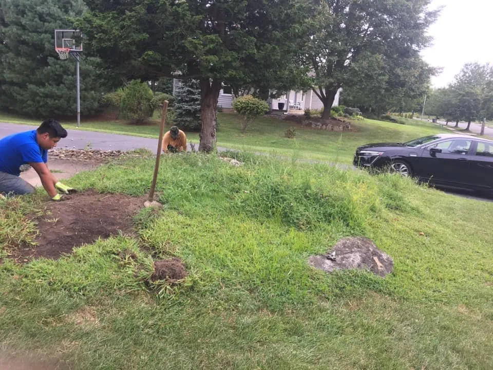 Expert yard maintenance in Trenton, NJ by Trenton Lawn Care Services