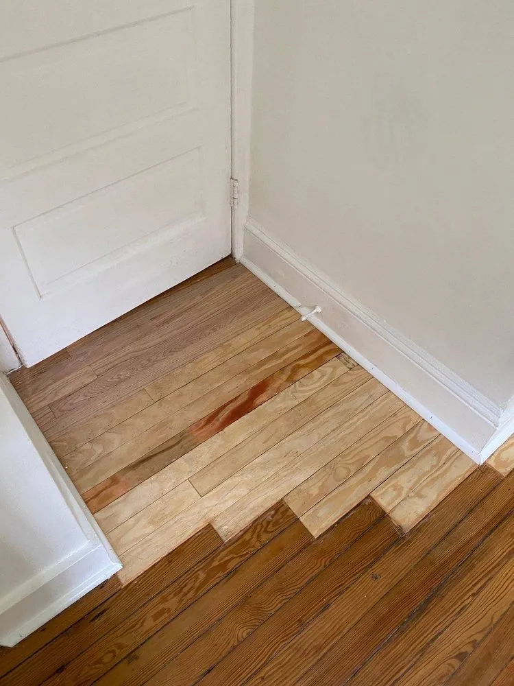 Affordable yard maintenance in Trenton, NJ - Trenton Lawn Care Services