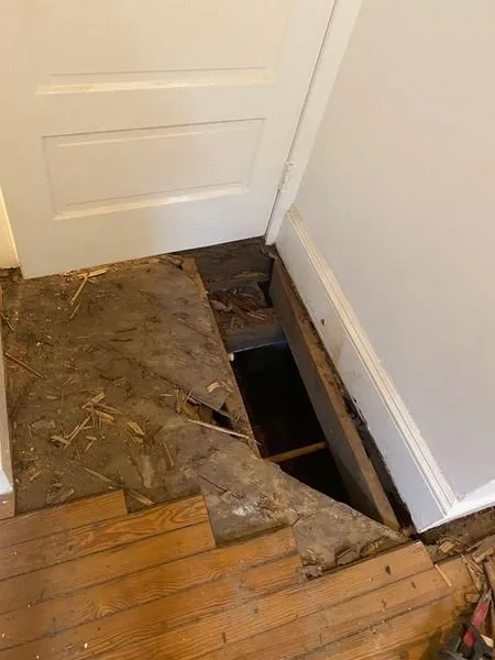 Top-rated lawn mowing service for year-round maintenance in Trenton, NJ by Trenton Lawn Care Services