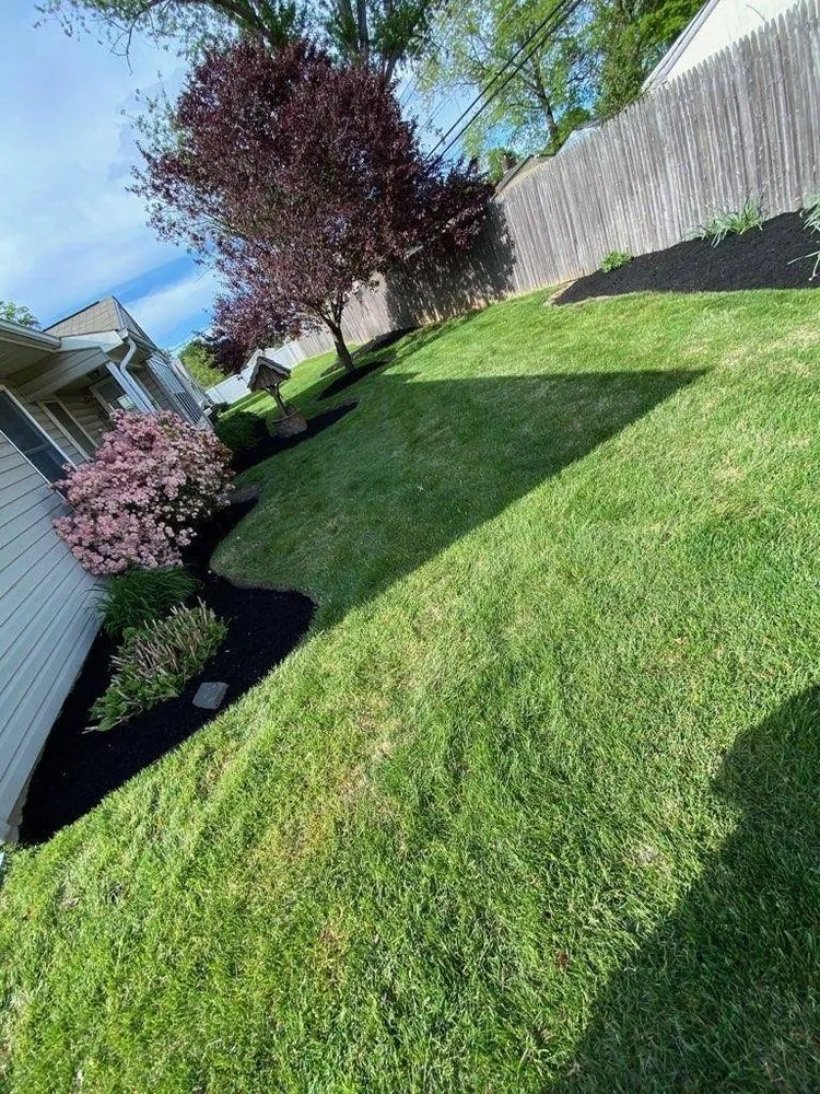 Trusted yard maintenance in Trenton, NJ by Trenton Lawn Care Services