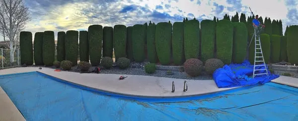 Trent's Lawn Care & Landscaping Logo