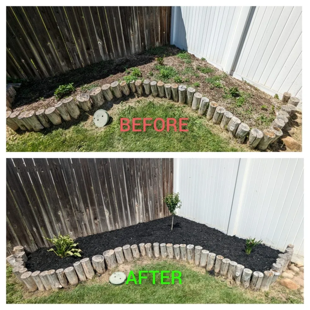 Affordable landscape installation experts serving Waldport, OR - Trents Trees and Landscaping