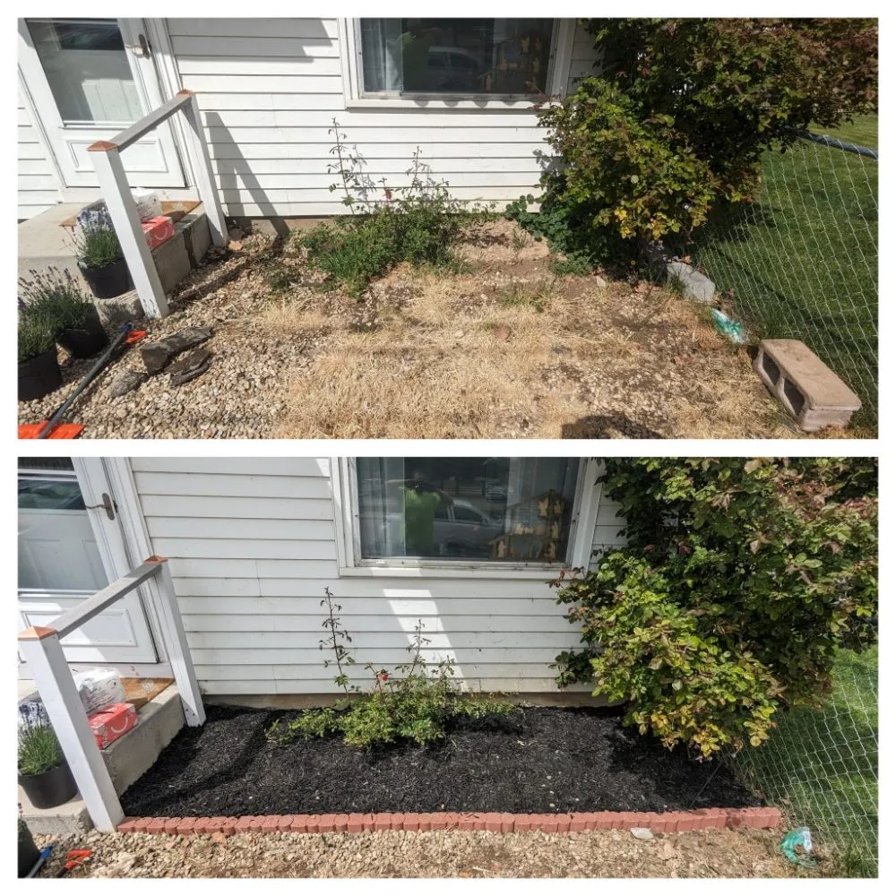 Reliable lawn mowing service in Waldport, OR by Trents Trees and Landscaping