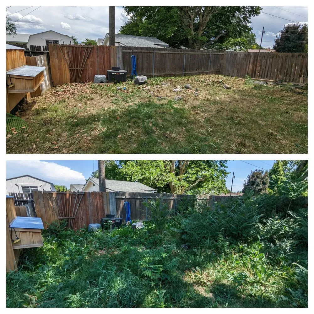 Local yard cleanup service for outdoor upgrades in Waldport, OR by Trents Trees and Landscaping