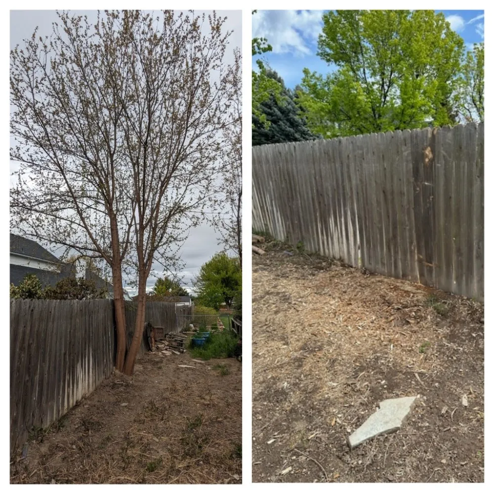 Trusted garden landscaping near you in Waldport, OR by Trents Trees and Landscaping