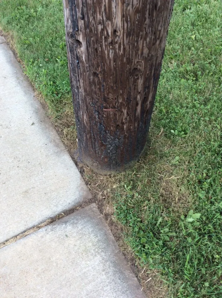 Affordable landscape design experts serving Green Bay, WI - Treptow Lawn Care