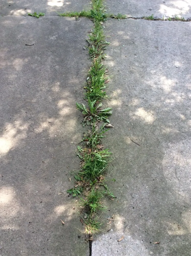 Reliable landscape installation with custom design across Green Bay, WI - Treptow Lawn Care