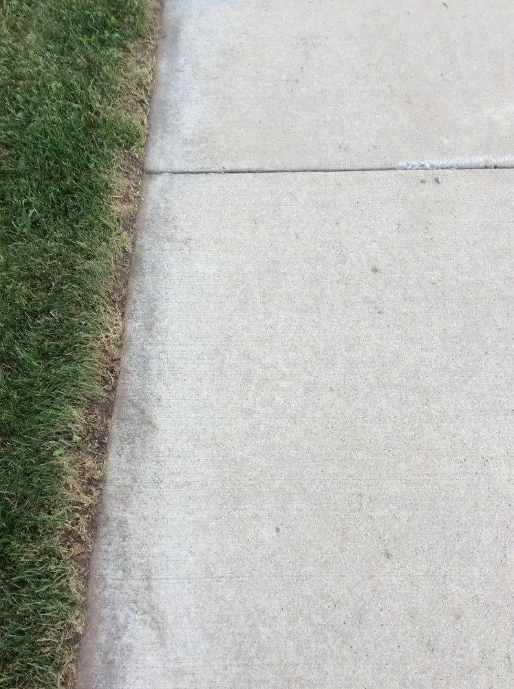 Trusted lawn care service experts serving Green Bay, WI - Treptow Lawn Care