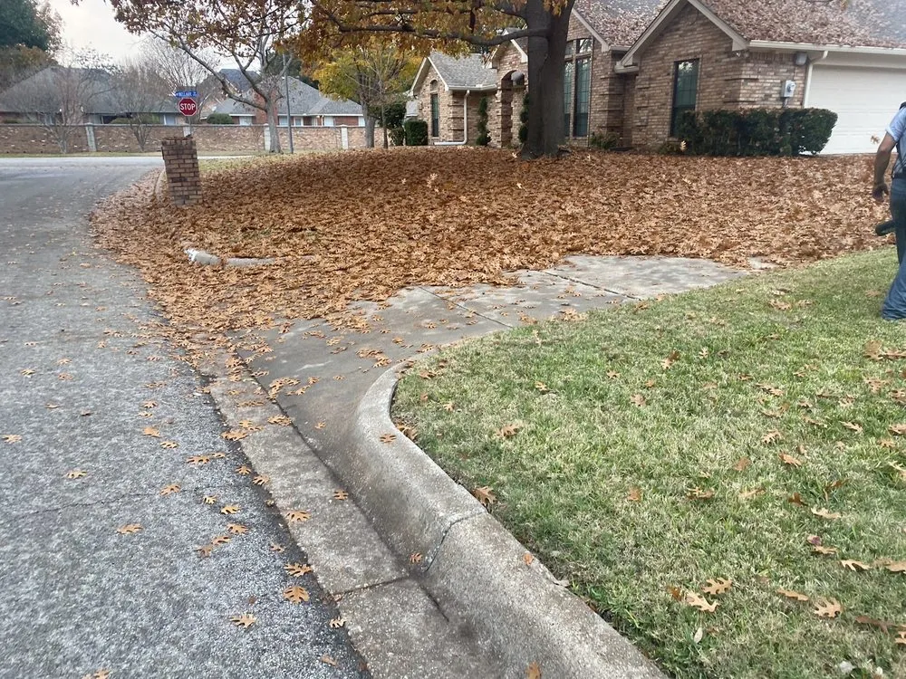 Local yard cleanup service experts serving Westworth Village, TX - Tres amigos landscaping