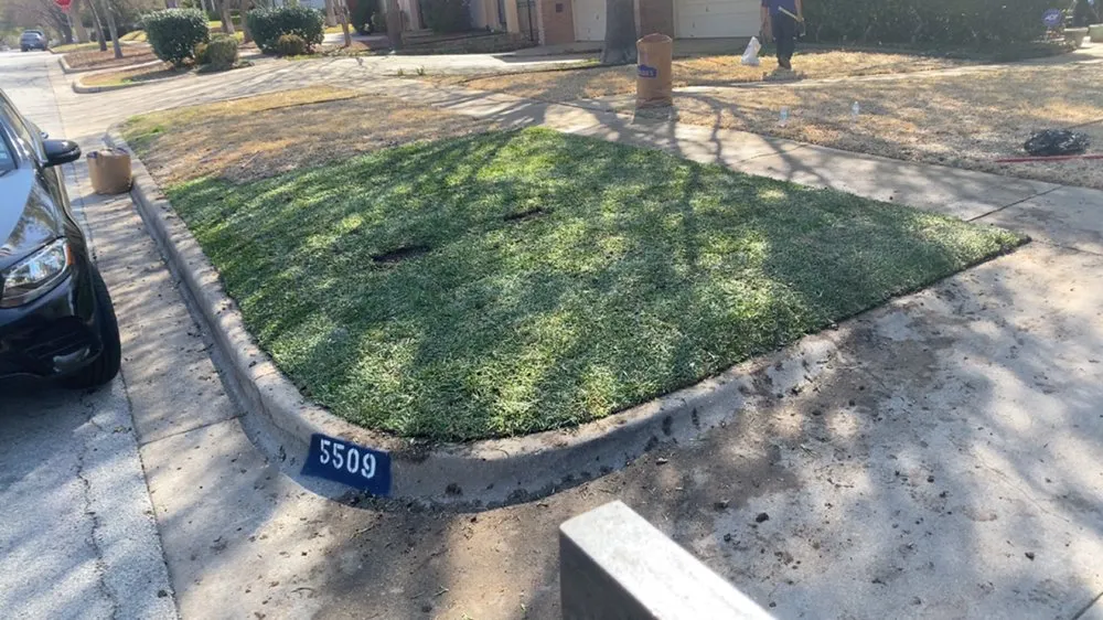 Affordable lawn mowing service for beautiful yards in Westworth Village, TX by Tres amigos landscaping