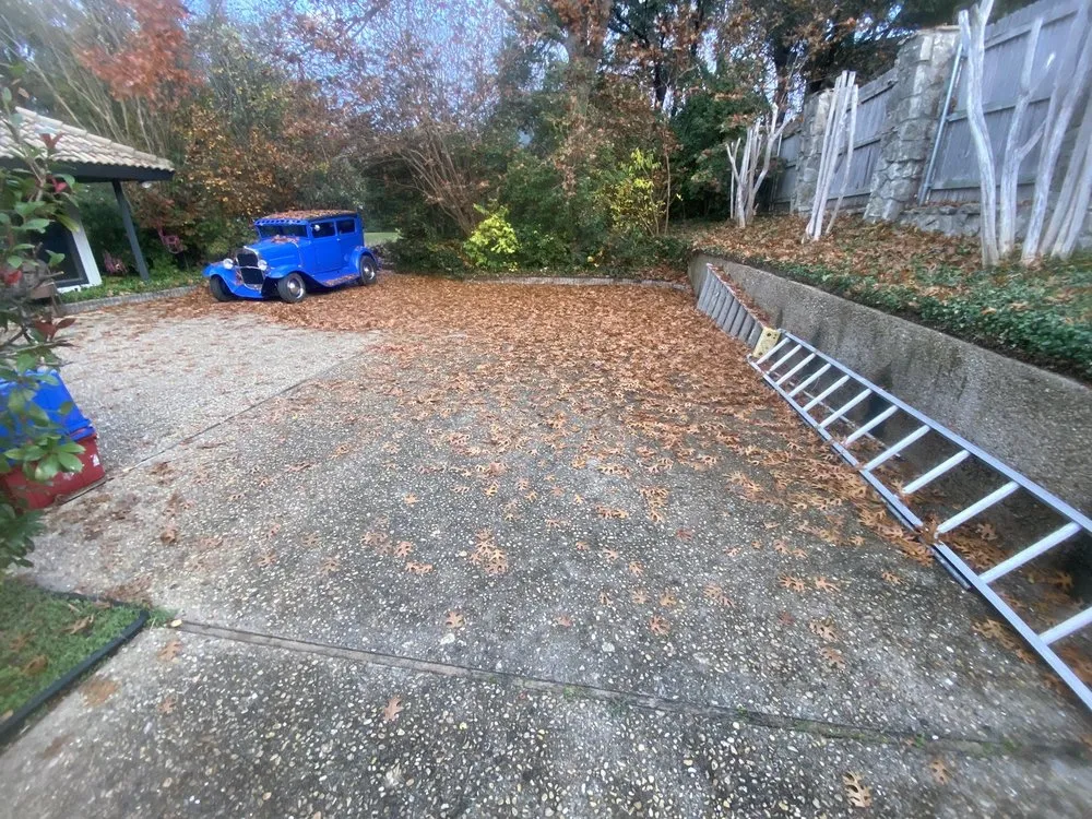 Professional yard cleanup service in Westworth Village, TX - Tres amigos landscaping