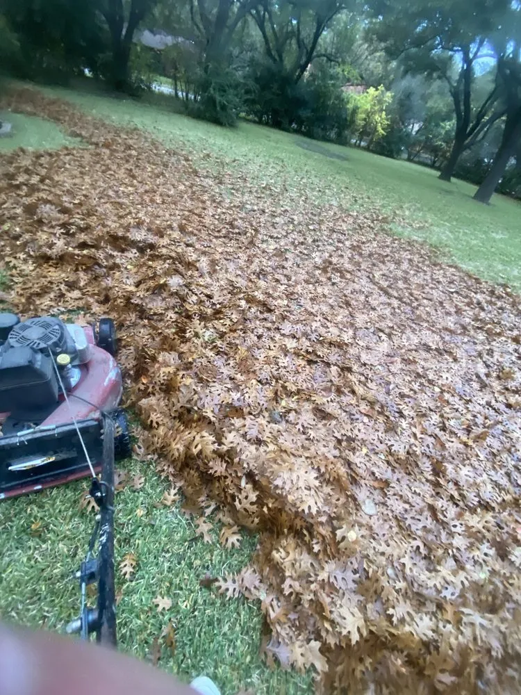 Top-rated landscaping services with custom design in Westworth Village, TX by Tres amigos landscaping