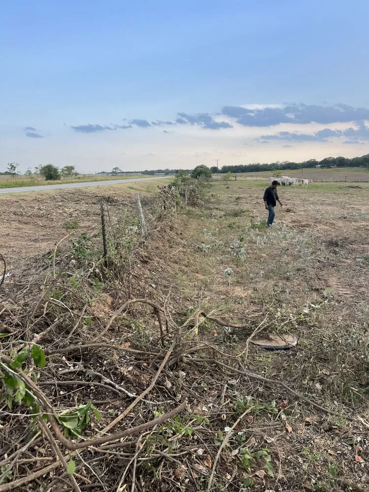 Professional landscaping services with custom design across Nixon, TX - Tres Flores Lawn And Tree Trimming