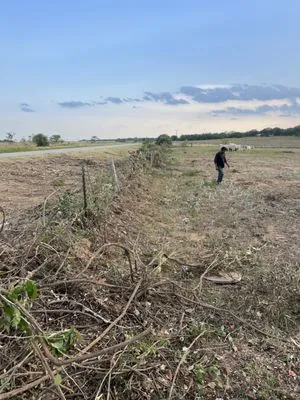 Tres Flores Lawn And Tree Trimming