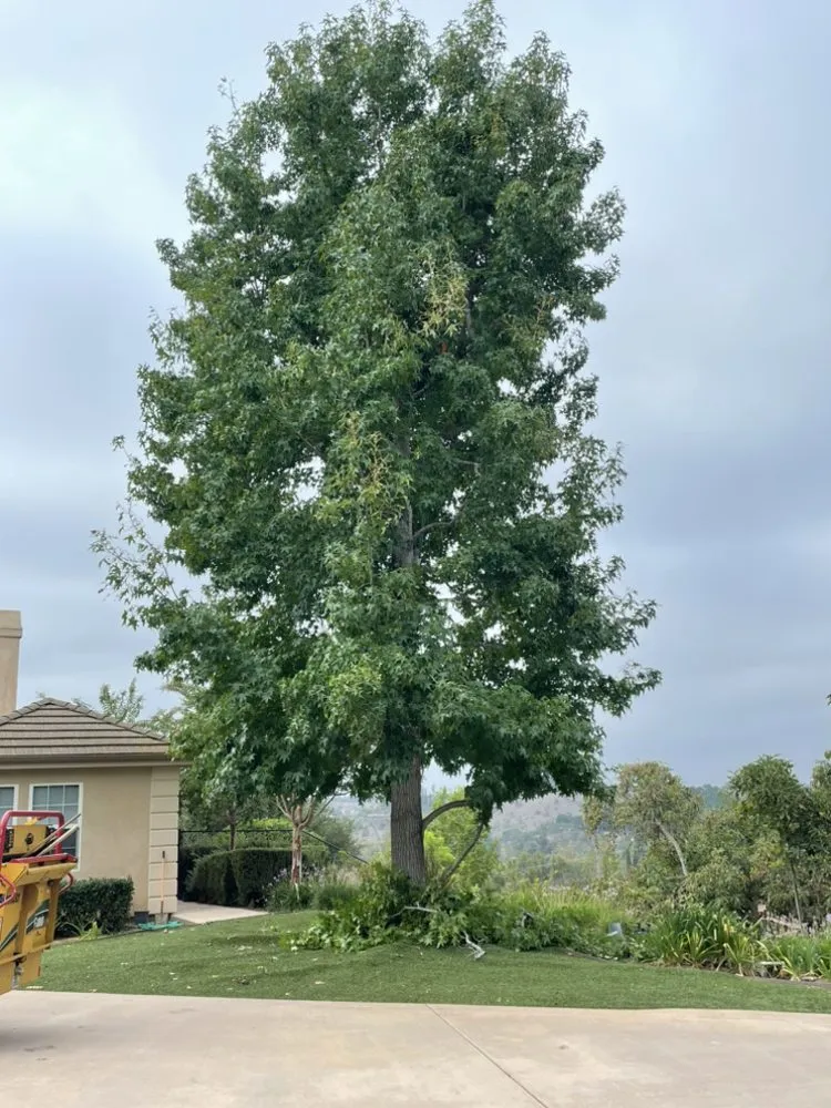 Affordable outdoor landscaping experts serving Fallbrook, CA - Tres Hermanos