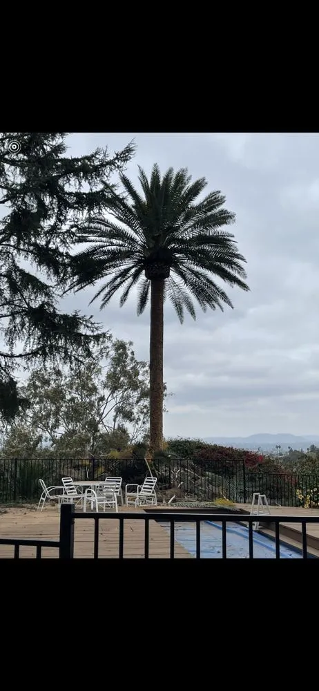 Local garden landscaping in Fallbrook, CA by Tres Hermanos