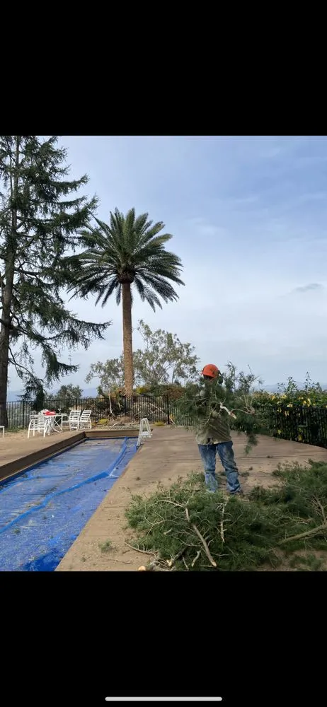 Expert landscape installation in Fallbrook, CA by Tres Hermanos