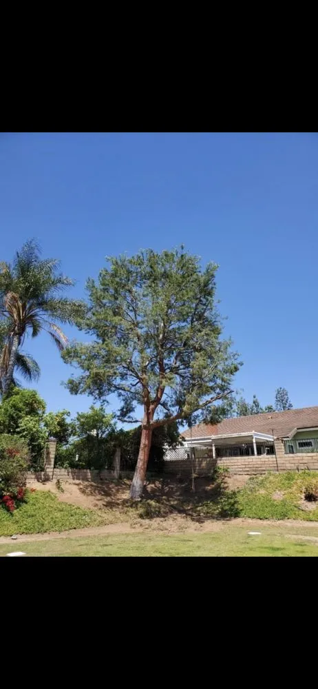 Local outdoor landscaping experts serving Fallbrook, CA - Tres Hermanos