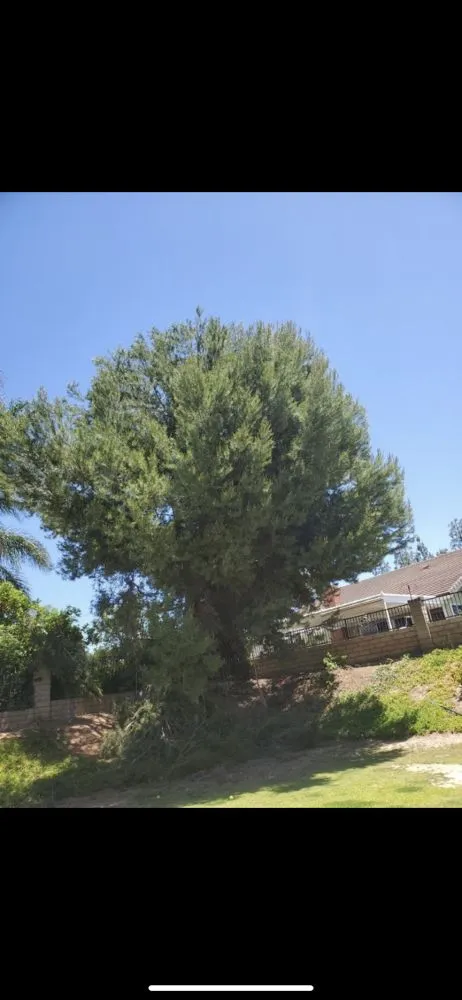 Top-rated lawn care service for residential properties across Fallbrook, CA - Tres Hermanos