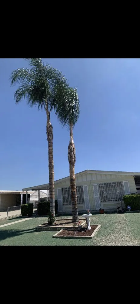 Top-rated lawn care service in Fallbrook, CA - Tres Hermanos