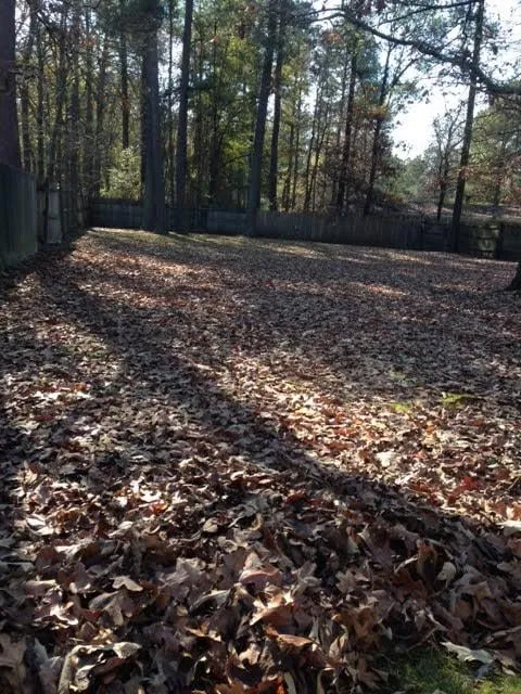 Custom landscape installation experts serving Raeford, NC - Tres Jacob Landscaping & Lawncare