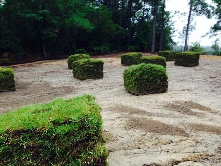 Professional outdoor landscaping with custom design across Raeford, NC - Tres Jacob Landscaping & Lawncare