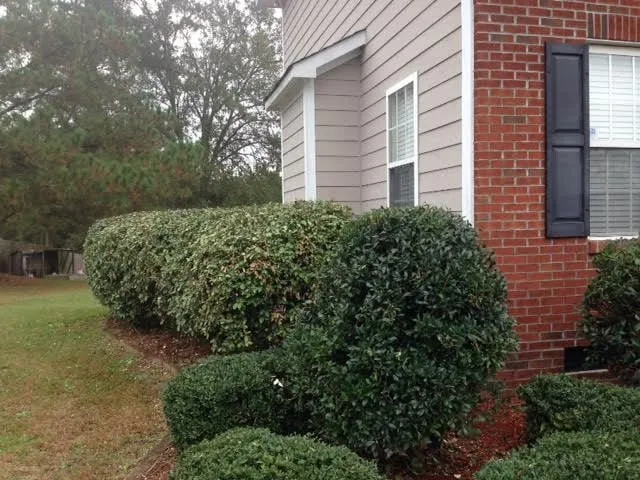 Affordable residential landscaping in Raeford, NC by Tres Jacob Landscaping & Lawncare