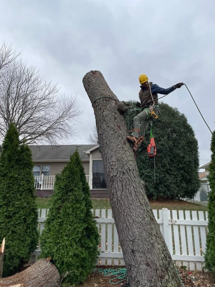 Trusted landscaping services for homes in Woodstock, IL by Tres Potrillos Landscaping