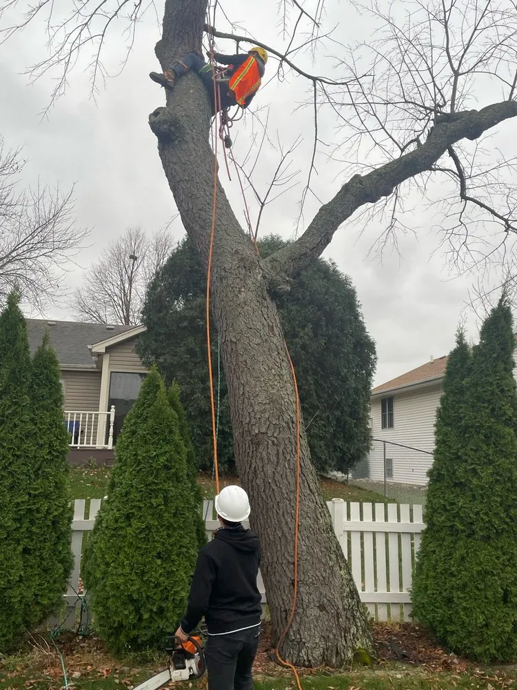 Affordable garden landscaping with custom design across Woodstock, IL - Tres Potrillos Landscaping