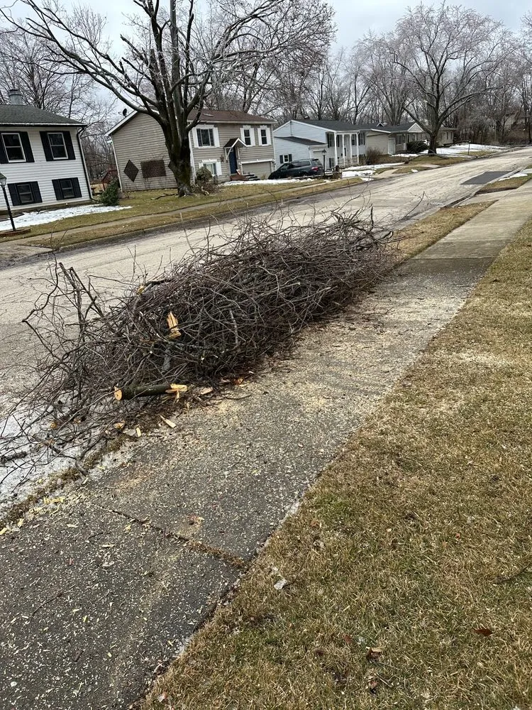 Local landscaping services in Woodstock, IL by Tres Potrillos Landscaping