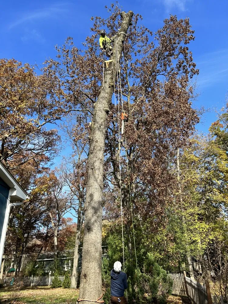 Local garden landscaping near you in Woodstock, IL by Tres Potrillos Landscaping