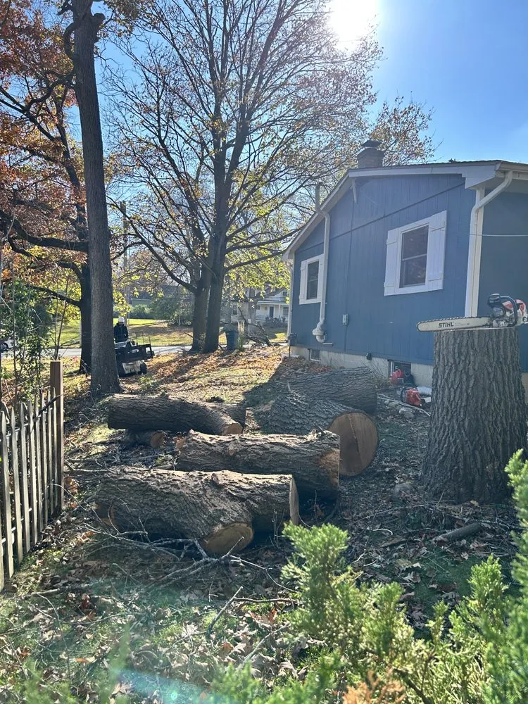 Trusted yard cleanup service in Woodstock, IL by Tres Potrillos Landscaping