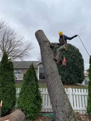 Tres Potrillos Landscaping Logo