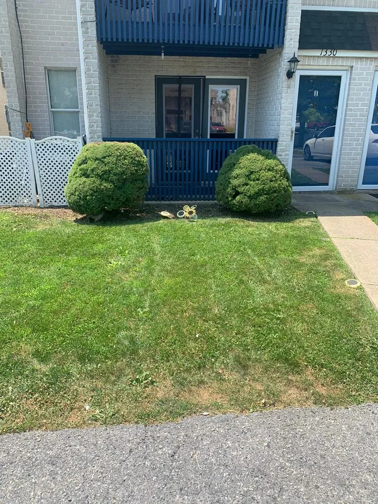 Reliable yard cleanup service experts serving Allentown, PA - Tres Reyes Landscaping Services