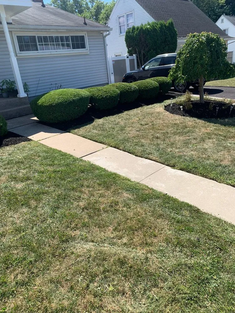 Professional lawn care service in Allentown, PA by Tres Reyes Landscaping Services