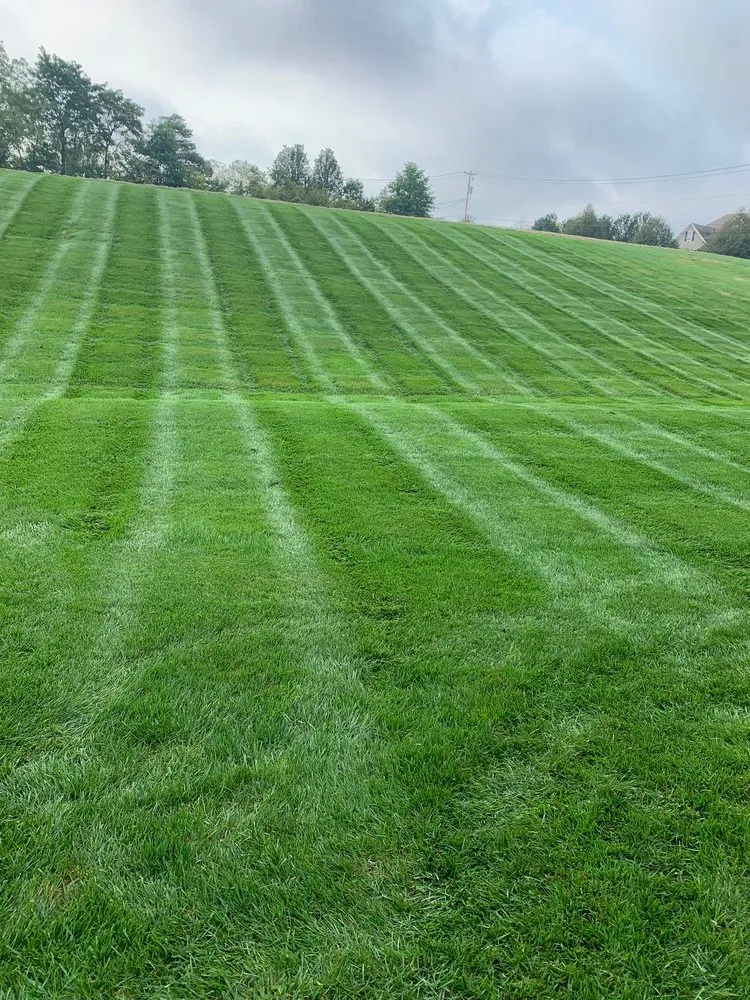 Expert landscape installation experts serving Allentown, PA - Tres Reyes Landscaping Services