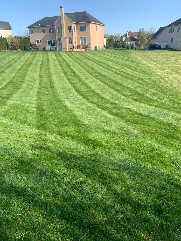 Professional yard cleanup service experts serving Allentown, PA - Tres Reyes Landscaping Services